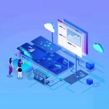 迅睿多网站系统插件