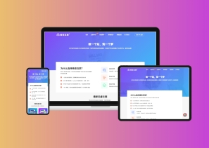 主题插件模板虚拟资源商城主题